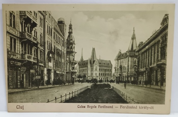 CLUJ , CALEA REGELE FERDINAND , CARTE POSTALA , ANII &#039;20
