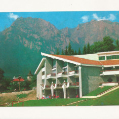 CA12 -Carte Postala- Busteni, circulata 1978