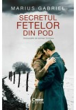 Cumpara ieftin Secretul fetelor din pod, Corint