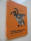 Prima mea carte de zoologie - Evgheni Cearusin
