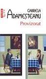 Provizorat | Gabriela Adamesteanu, Polirom