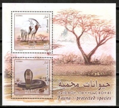 ALGERIA 2019 FAUNA SPECII PROTEJATE COBRE SI ANTILOPE ORYX foto