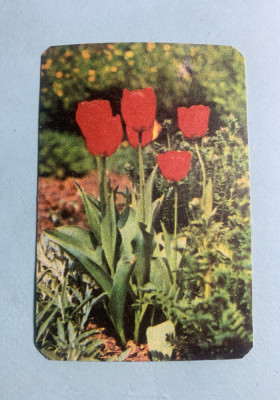 Calendar 1982 loto pronosport foto