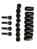 SET PIULITE PREZON NEGRE 10 mm x 1.25 (16 buc)
