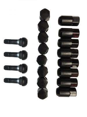 SET PIULITE PREZON NEGRE 10 mm x 1.25 (16 buc) foto