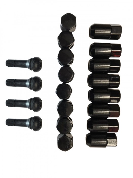 SET PIULITE PREZON NEGRE 10 mm x 1.25 (16 buc)