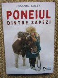 SUSANNA BAILEY - PONEIUL DINTRE ZAPEZI , 2024 *