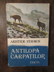 ANTILOPA CARPATILOR - ARISTIDE STAVROS foto