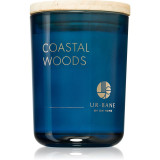 DW Home UR.BANE Coastal Woods lum&acirc;nare parfumată 215 g