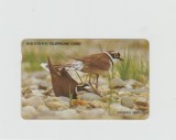 bnk card Cartele telefonice - Coreea de Sud - fauna - pasari - Little Ringed Plover (Letter K) - Col:MO9708125 (K)