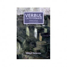 Verbul ca fotografie - Paperback brosat - Mihail NeamÅ£u - Curtea Veche