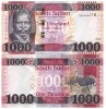 Sudanul de Sud 1 000 1000 Pounds 2024 P-17 UNC
