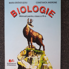 BIOLOGIE MANUAL PENTRU CLASA A VI-A - Brandusoiu, Androne