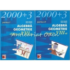 Algebra Geometrie. Anul Scolar 2003 - 2004, Clasa a VIII-a - Anton Negrila