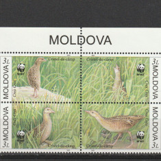 Fauna ,pasari ,WWF ,Moldova.