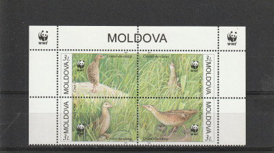 Fauna ,pasari ,WWF ,Moldova. foto