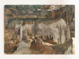 FA146 -Carte Postala - ITALIA - Bari. Grotte di Castellana. La Lupa, necirculata