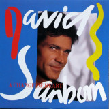 Vinil LP David Sanborn &ndash; A Change Of Heart (VG++), Jazz