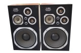 Boxe Tectronic LS 903