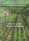 Soiuri De Legume Cultivate In Romania. Legume. Seminte. Flori