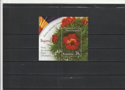 ROMANIA 2023 LP 2418 a BUJORUL, FLOAREA NATIONALA A ROMANIEI COLITA MNH NESTAMPILATA foto