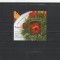 ROMANIA 2023 LP 2418 a BUJORUL, FLOAREA NATIONALA A ROMANIEI COLITA MNH NESTAMPILATA