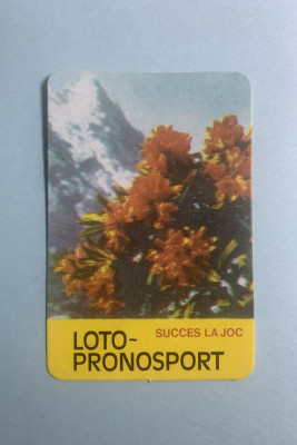 Calendar 1984 loto pronosport foto