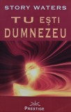 Cumpara ieftin Tu esti Dumnezeu - 2008 - Story Waters (@C259)