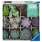 Puzzle Plante Suculente, 300 Piese, Ravensburger