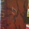 Dictionnaire des verbes entierement conjugues, vol. 1, A-E