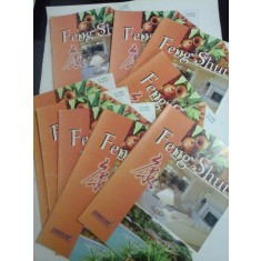 FENG SHUI - EUROCOR (Institutul European de Cursuri prin Corespondenta) Lectiile 15 - 32 -