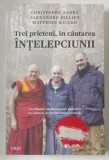 TREI PRIETENI , IN CAUTAREA INTELEPCIUNII de CHRISTOPHE ANDRE , ALEXANDRE JOLLIEN , MATTHIEU RICARD , 2017 , * MIC DEFECT COPERTA