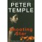 Shooting Star - Temple