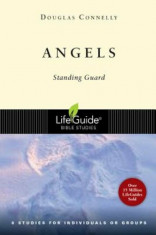 Angels: Standing Guard, Paperback/Douglas Connelly foto