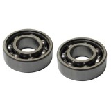 Set 2 rulmenti drujba, compatibil Husqvarna 40, 45, 51, 55, 240, 24, Blade