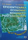 EFICIENTIZAREA ECONOMIEI ROMANESTI POSTSOCIALISTE-N.G. NICULESCU, I.D. ADUMITRACESEI