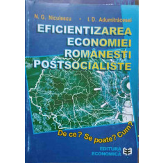 EFICIENTIZAREA ECONOMIEI ROMANESTI POSTSOCIALISTE-N.G. NICULESCU, I.D. ADUMITRACESEI