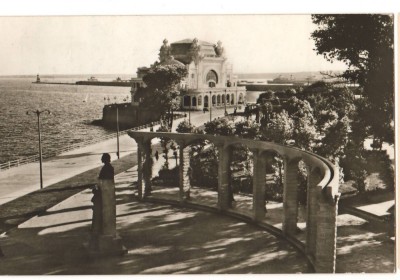 CPIB 22038 - CARTE POSTALA - CONSTANTA. PE FALEZA foto