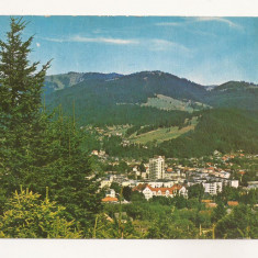 RF42 -Carte Postala- Campulung Moldovenesc, circulata 1977