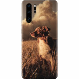 Husa silicon pentru Huawei P30 Pro, Alone Dog Animal In Grass