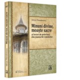 Minuni divine, moaste sacre si locuri de pelerinaj din tinuturile romanilor - Silvan Theodorescu