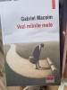 Gabriel Macsim - Vezi Mainile mele