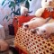 Pisici birmaneze
