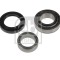 FEBI BILSTEIN 175602 Set rulment roata