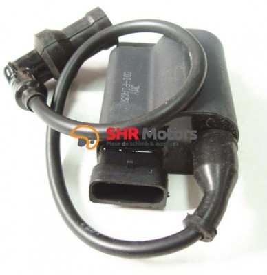 Centralina scuter Piaggio Zip / Fly / Liberty 4T Olympia foto