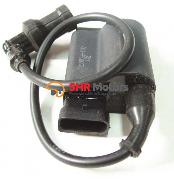 Centralina scuter Piaggio Zip / Fly / Liberty 4T Olympia