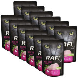 Cumpara ieftin Rafi Cat Adult Pat&eacute; with Turkey 12 x 100 g