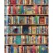 Bodleian Library: Hobbies and Pastimes Bookshelves (Blank Sketch Book)