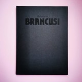 Delicatesse de Constantin Brancusi catalog album arta 1985 Franta Sidney Geist