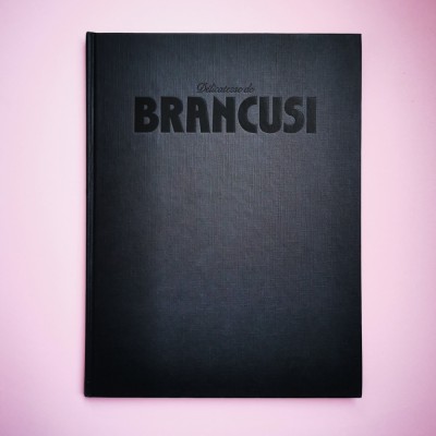 Delicatesse de Constantin Brancusi catalog album arta 1985 Franta Sidney Geist foto